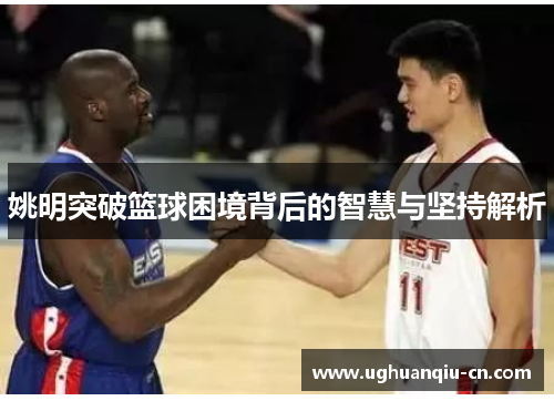 姚明突破篮球困境背后的智慧与坚持解析