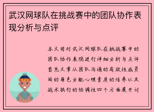 武汉网球队在挑战赛中的团队协作表现分析与点评