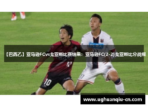 【巴西乙】亚马逊FCvs戈亚斯比赛结果：亚马逊FC(2-2)戈亚斯比分战报